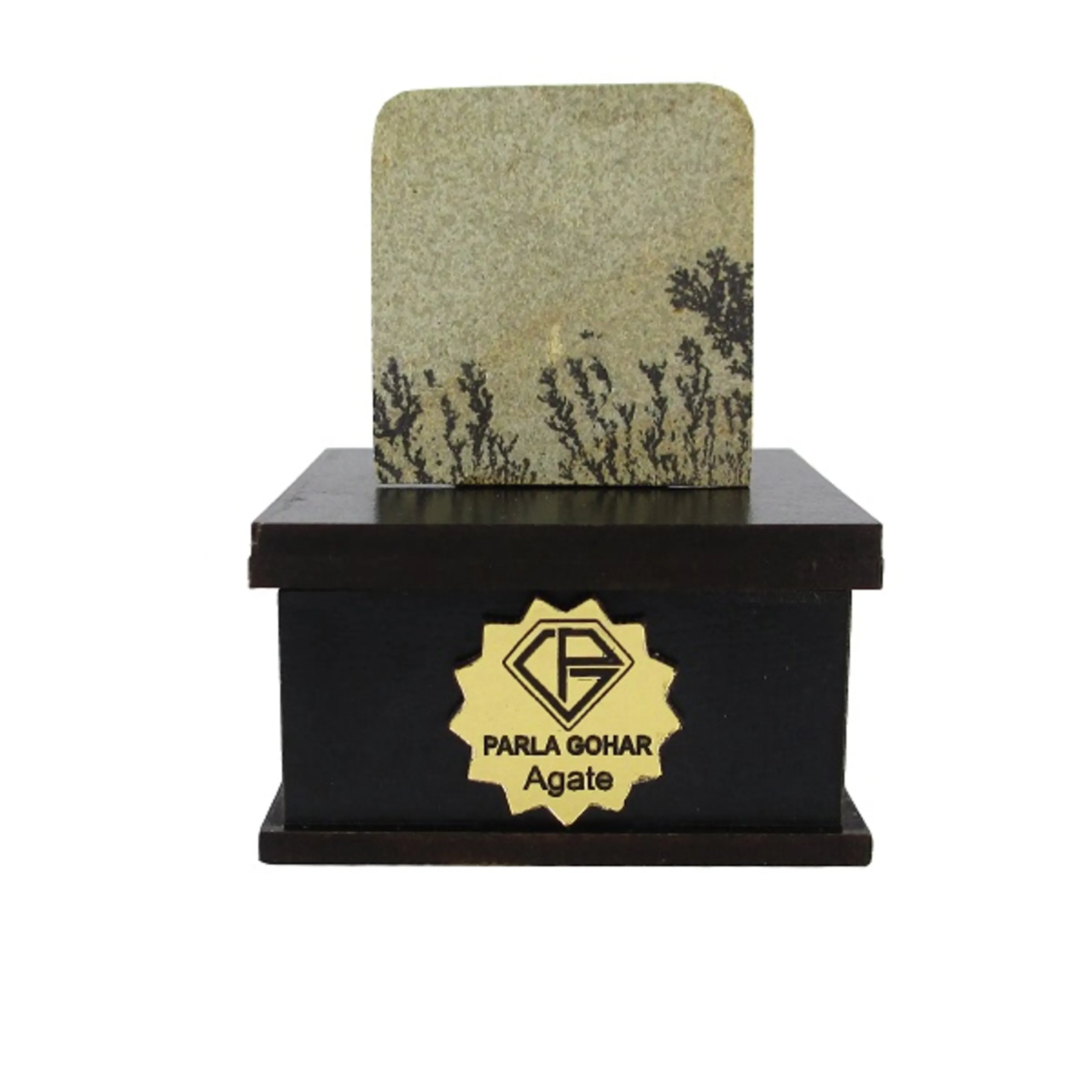 شجر راف کد 2341